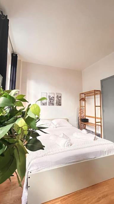 Le Cocon Apartment Montauban Exterior photo